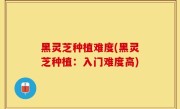 黑灵芝种植难度(黑灵芝种植：入门难度高)