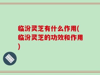 临汾灵芝有什么作用(临汾灵芝的功效和作用)