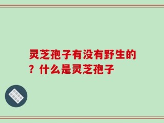 灵芝孢子有没有野生的？什么是灵芝孢子