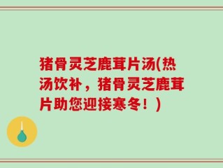 猪骨灵芝鹿茸片汤(热汤饮补，猪骨灵芝鹿茸片助您迎接寒冬！)