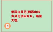 栖霞山灵芝(栖霞山珍贵灵芝供应充足，销量大增)