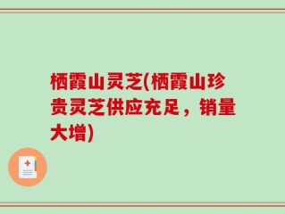 栖霞山灵芝(栖霞山珍贵灵芝供应充足，销量大增)