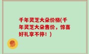 千年灵芝大朵价格(千年灵芝大朵售价，惊喜好礼享不停！)