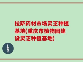 拉萨药材市场灵芝种植基地(重庆市植物园建设灵芝种植基地)