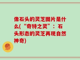 像石头的灵芝图片是什么(“奇特之灵”：石头形态的灵芝再现自然神奇)