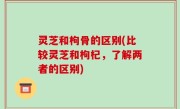 灵芝和枸骨的区别(比较灵芝和枸杞，了解两者的区别)