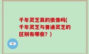 千年灵芝真的很像吗(千年灵芝与普通灵芝的区别有哪些？)