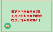灵芝孢子粉和甲鱼(灵芝孢子粉与甲鱼的联合吃法，惊人的效果！)
