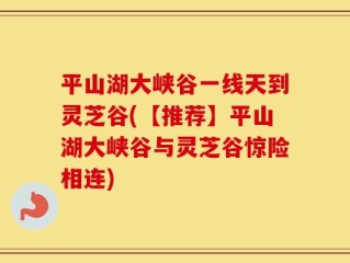 平山湖大峡谷一线天到灵芝谷(【推荐】平山湖大峡谷与灵芝谷惊险相连)