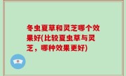 冬虫夏草和灵芝哪个效果好(比较夏虫草与灵芝，哪种效果更好)