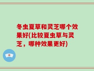 冬虫夏草和灵芝哪个效果好(比较夏虫草与灵芝，哪种效果更好)