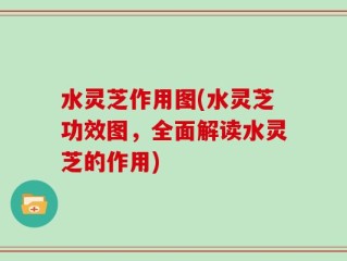 水灵芝作用图(水灵芝功效图，全面解读水灵芝的作用)