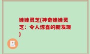 娃娃灵芝(神奇娃娃灵芝：令人惊喜的新发现)