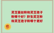 灵芝菌丝粉和灵芝孢子粉哪个好？野生灵芝粉和灵芝孢子粉哪个更好