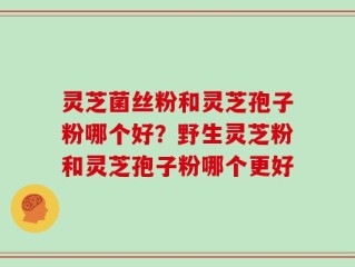 灵芝菌丝粉和灵芝孢子粉哪个好？野生灵芝粉和灵芝孢子粉哪个更好