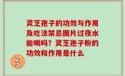 灵芝孢子的功效与作用及吃法禁忌图片过夜水能喝吗？灵芝孢子粉的功效和作用是什么