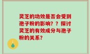 灵芝的功效是否会受到孢子粉的影响？？探讨灵芝的有效成分与孢子粉的关系？