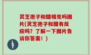 灵芝孢子和醋相克吗图片(灵芝孢子和醋有反应吗？了解一下图片告诉你答案！)