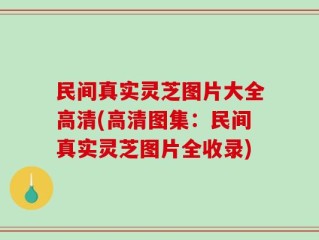 民间真实灵芝图片大全高清(高清图集：民间真实灵芝图片全收录)