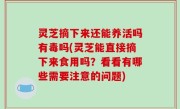 灵芝摘下来还能养活吗有毒吗(灵芝能直接摘下来食用吗？看看有哪些需要注意的问题)