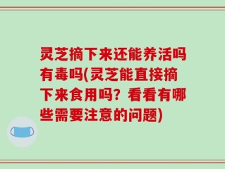 灵芝摘下来还能养活吗有毒吗(灵芝能直接摘下来食用吗？看看有哪些需要注意的问题)