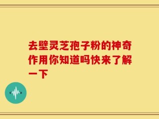 去壁灵芝孢子粉的神奇作用你知道吗快来了解一下