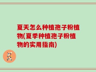 夏天怎么种植孢子粉植物(夏季种植孢子粉植物的实用指南)
