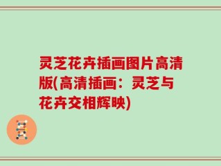灵芝花卉插画图片高清版(高清插画：灵芝与花卉交相辉映)