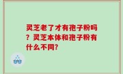 灵芝老了才有孢子粉吗？灵芝本体和孢子粉有什么不同？