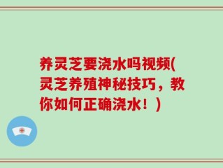 养灵芝要浇水吗视频(灵芝养殖神秘技巧，教你如何正确浇水！)