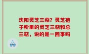 沈阳灵芝三萜？灵芝孢子粉里的灵芝三萜和总三萜，说的是一回事吗