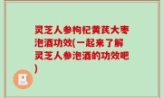 灵芝人参枸杞黄芪大枣泡酒功效(一起来了解灵芝人参泡酒的功效吧)