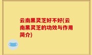 云南黑灵芝好不好(云南黑灵芝的功效与作用简介)