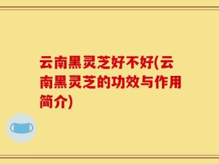 云南黑灵芝好不好(云南黑灵芝的功效与作用简介)