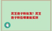 灵芝孢子粉批发？灵芝孢子粉在哪里能买到