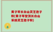 黄子琴长白山灵芝孢子粉(黄子琴登顶长白山采摘灵芝孢子粉)