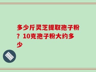 多少斤灵芝提取孢子粉？10克孢子粉大约多少