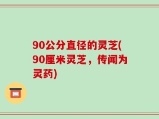 90公分直径的灵芝(90厘米灵芝，传闻为灵药)
