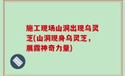 施工现场山洞出现乌灵芝(山洞现身乌灵芝，展露神奇力量)