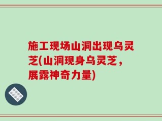 施工现场山洞出现乌灵芝(山洞现身乌灵芝，展露神奇力量)