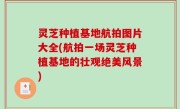 灵芝种植基地航拍图片大全(航拍一场灵芝种植基地的壮观绝美风景)