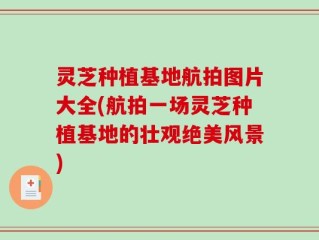 灵芝种植基地航拍图片大全(航拍一场灵芝种植基地的壮观绝美风景)