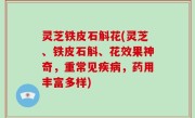 灵芝铁皮石斛花(灵芝、铁皮石斛、花效果神奇，重常见疾病，药用丰富多样)