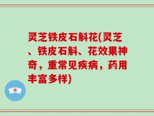 灵芝铁皮石斛花(灵芝、铁皮石斛、花效果神奇，重常见疾病，药用丰富多样)