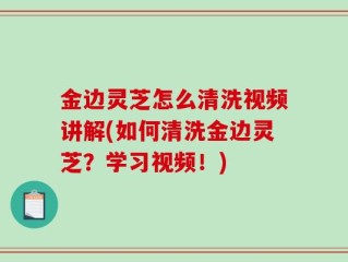 金边灵芝怎么清洗视频讲解(如何清洗金边灵芝？学习视频！)