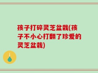 孩子打碎灵芝盆栽(孩子不小心打翻了珍爱的灵芝盆栽)