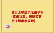 雷云上破壁灵芝孢子粉(雷云壮志，破壁灵芝孢子粉出新天地)