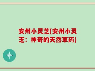 安州小灵芝(安州小灵芝：神奇的天然草药)