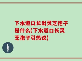 下水道口长出灵芝孢子是什么(下水道口长灵芝孢子引热议)