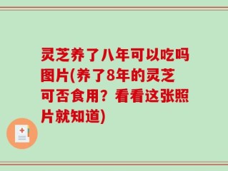灵芝养了八年可以吃吗图片(养了8年的灵芝可否食用？看看这张照片就知道)